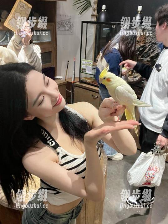 吃瓜网站 吃瓜网站app,料件太多,免费的瓜都快溢出来了!